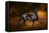 Fantasy Horses 33-Bob Langrish-Framed Stretched Canvas