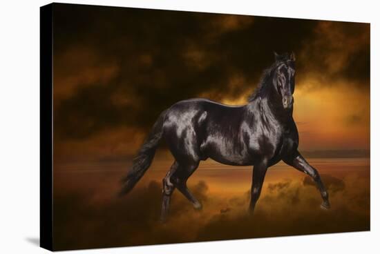 Fantasy Horses 33-Bob Langrish-Stretched Canvas