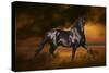 Fantasy Horses 33-Bob Langrish-Stretched Canvas