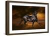 Fantasy Horses 33-Bob Langrish-Framed Photographic Print