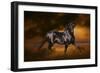 Fantasy Horses 33-Bob Langrish-Framed Photographic Print