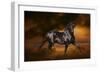 Fantasy Horses 33-Bob Langrish-Framed Photographic Print