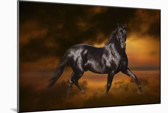 Fantasy Horses 33-Bob Langrish-Mounted Photographic Print