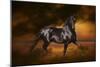 Fantasy Horses 33-Bob Langrish-Mounted Photographic Print