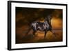 Fantasy Horses 33-Bob Langrish-Framed Photographic Print