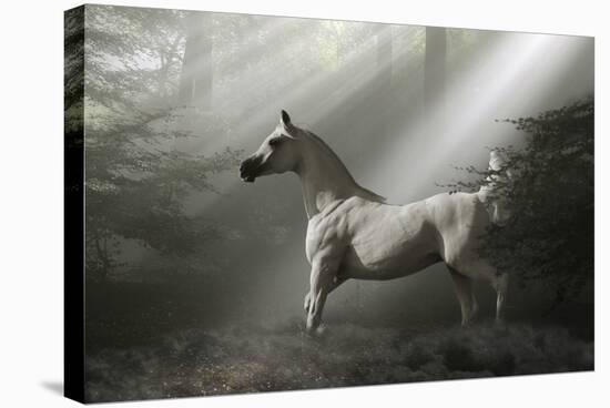 Fantasy Horses 35-Bob Langrish-Stretched Canvas