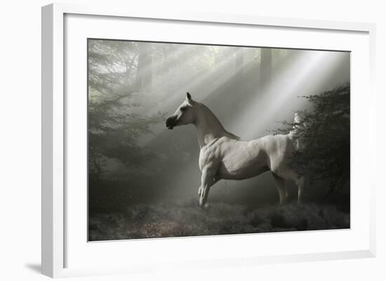 Fantasy Horses 35-Bob Langrish-Framed Photographic Print
