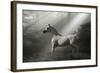 Fantasy Horses 35-Bob Langrish-Framed Photographic Print