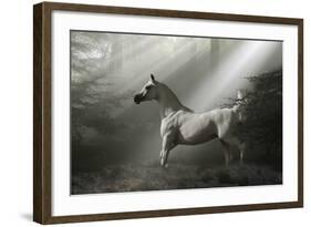 Fantasy Horses 35-Bob Langrish-Framed Photographic Print