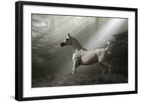 Fantasy Horses 35-Bob Langrish-Framed Photographic Print