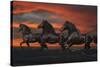 Fantasy Horses 37-Bob Langrish-Stretched Canvas