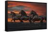 Fantasy Horses 37-Bob Langrish-Framed Stretched Canvas