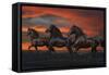 Fantasy Horses 37-Bob Langrish-Framed Stretched Canvas