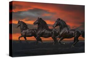 Fantasy Horses 37-Bob Langrish-Stretched Canvas