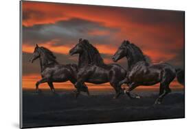 Fantasy Horses 37-Bob Langrish-Mounted Photographic Print
