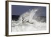 Fantasy Horses 39-Bob Langrish-Framed Photographic Print