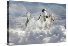 Fantasy Horses 41-Bob Langrish-Stretched Canvas