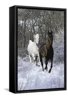 Fantasy Horses 42-Bob Langrish-Framed Stretched Canvas