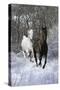 Fantasy Horses 42-Bob Langrish-Stretched Canvas