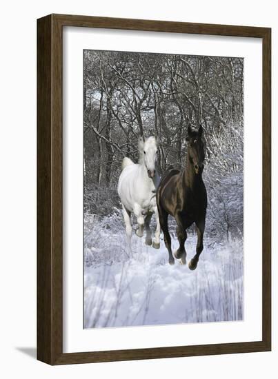 Fantasy Horses 42-Bob Langrish-Framed Photographic Print