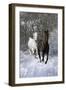 Fantasy Horses 42-Bob Langrish-Framed Photographic Print