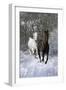 Fantasy Horses 42-Bob Langrish-Framed Photographic Print