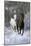 Fantasy Horses 42-Bob Langrish-Mounted Photographic Print