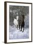 Fantasy Horses 42-Bob Langrish-Framed Photographic Print