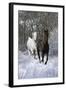 Fantasy Horses 42-Bob Langrish-Framed Photographic Print