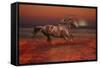 Fantasy Horses 43-Bob Langrish-Framed Stretched Canvas