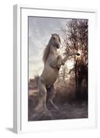 Fantasy Horses 44-Bob Langrish-Framed Photographic Print