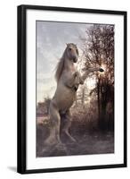 Fantasy Horses 44-Bob Langrish-Framed Photographic Print