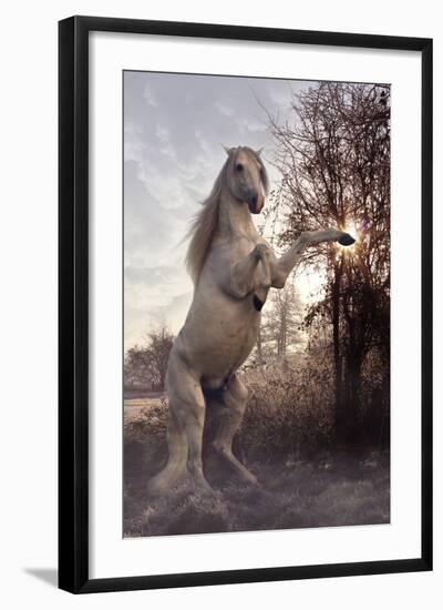 Fantasy Horses 44-Bob Langrish-Framed Photographic Print