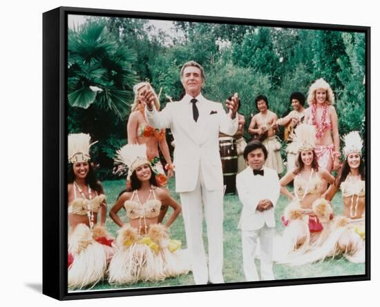 Fantasy Island-null-Framed Stretched Canvas