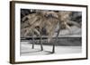 Fantasy Island-Mike Jones-Framed Photo