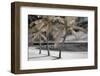 Fantasy Island-Mike Jones-Framed Photo