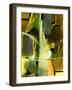 Fantasy Meets Reality-Ruth Palmer-Framed Art Print