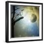 Fantasy Mystery-ValentinaPhotos-Framed Art Print