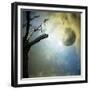 Fantasy Mystery-ValentinaPhotos-Framed Premium Giclee Print