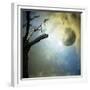 Fantasy Mystery-ValentinaPhotos-Framed Premium Giclee Print