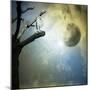 Fantasy Mystery-ValentinaPhotos-Mounted Premium Giclee Print