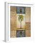 Fantasy Palm II-Michael Marcon-Framed Art Print