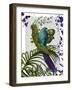 Fantasy Parrot 1-Fab Funky-Framed Art Print