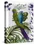 Fantasy Parrot 1-Fab Funky-Stretched Canvas