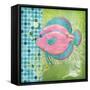 Fantasy Reef III-Paul Brent-Framed Stretched Canvas