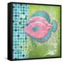 Fantasy Reef III-Paul Brent-Framed Stretched Canvas