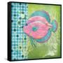 Fantasy Reef III-Paul Brent-Framed Stretched Canvas