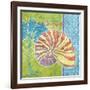 Fantasy Shell II-Paul Brent-Framed Art Print