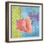 Fantasy Shell III-Paul Brent-Framed Art Print