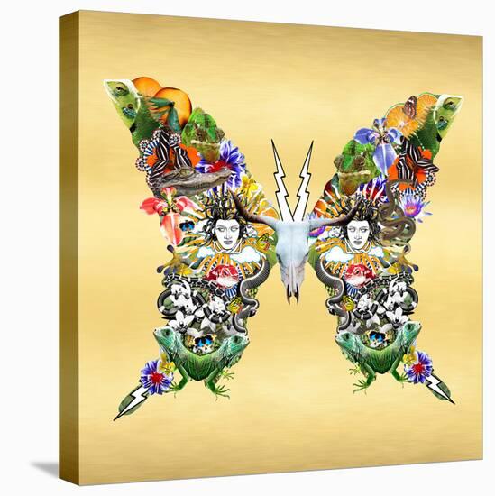 Fantasy World - Butterfly-Amy Shaw-Stretched Canvas